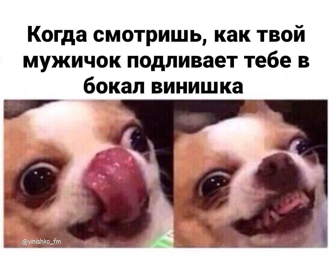 Когда смотришь, как твой мужичок подливает тебе в бокал винишка