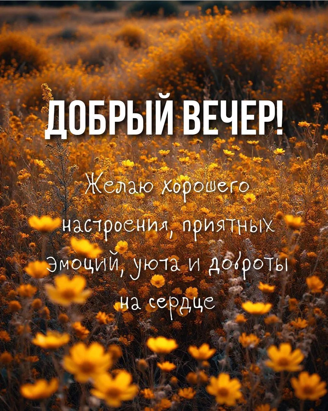 ДОБРЫЙ ВЕЧЕР! Желаю хорошего настроения, приятных эмоций, уюта и доброты на сердце