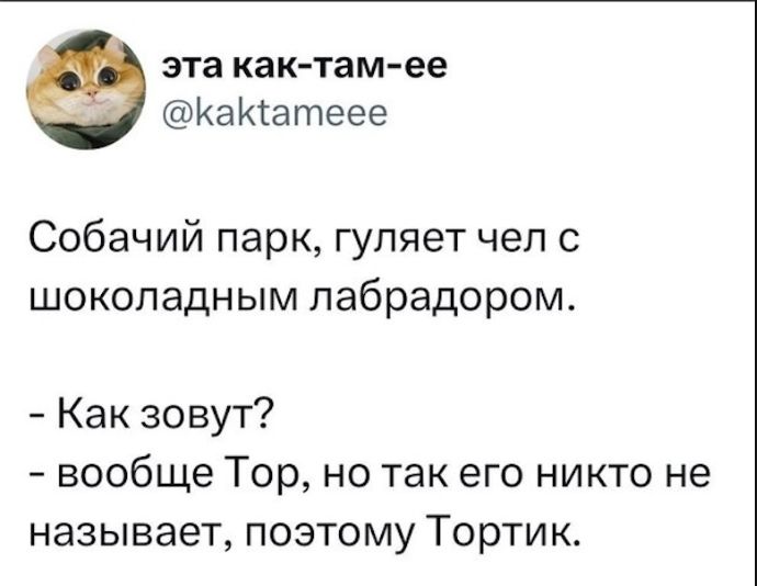 эта как-там-ее @kaktameee Собачий парк, гуляет чел с шоколадным лабрадором. - Как зовут? - вообще Тор, но так его никто не называет, поэтому Тортик.