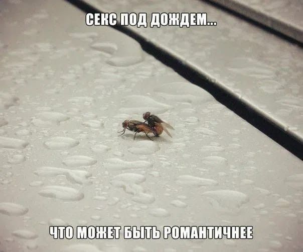 Секс под дождем... Что может быть романтичнее
