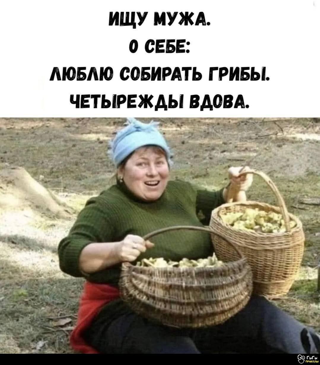 ИЩУ МУЖА. О СЕБЕ: ЛЮБЛЮ СОБИРАТЬ ГРИБЫ. ЧЕТЫРЕЖДЫ ВДОВА.