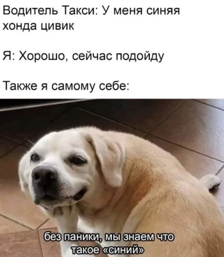 Водитель Такси: У меня синяя хонда цивик Я: Хорошо, сейчас подойду Также я самому себе: без паники, мы знаем что такое «синий»