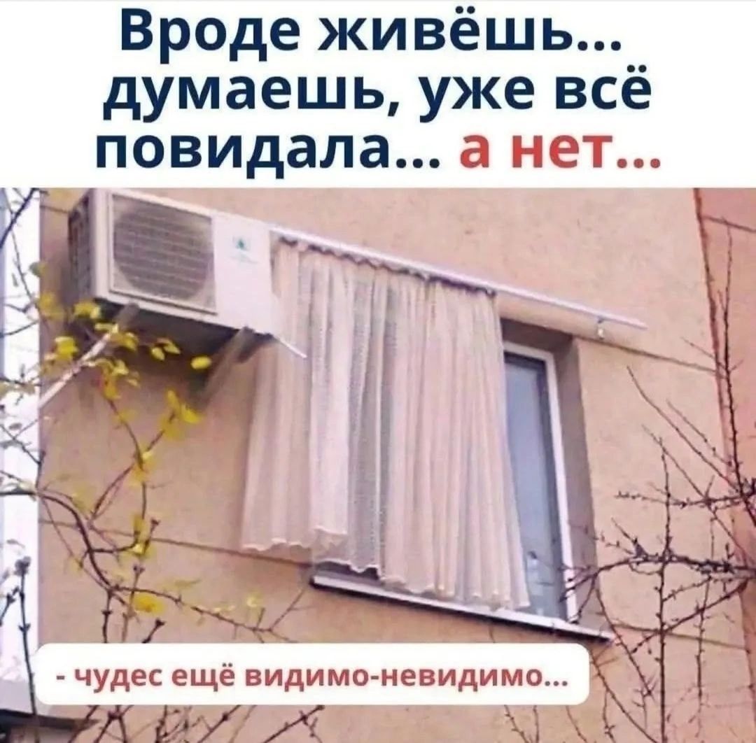 Вроде живёшь... думаешь, уже всё повидала... а нет... - чудес ещё видимо-невидимо...