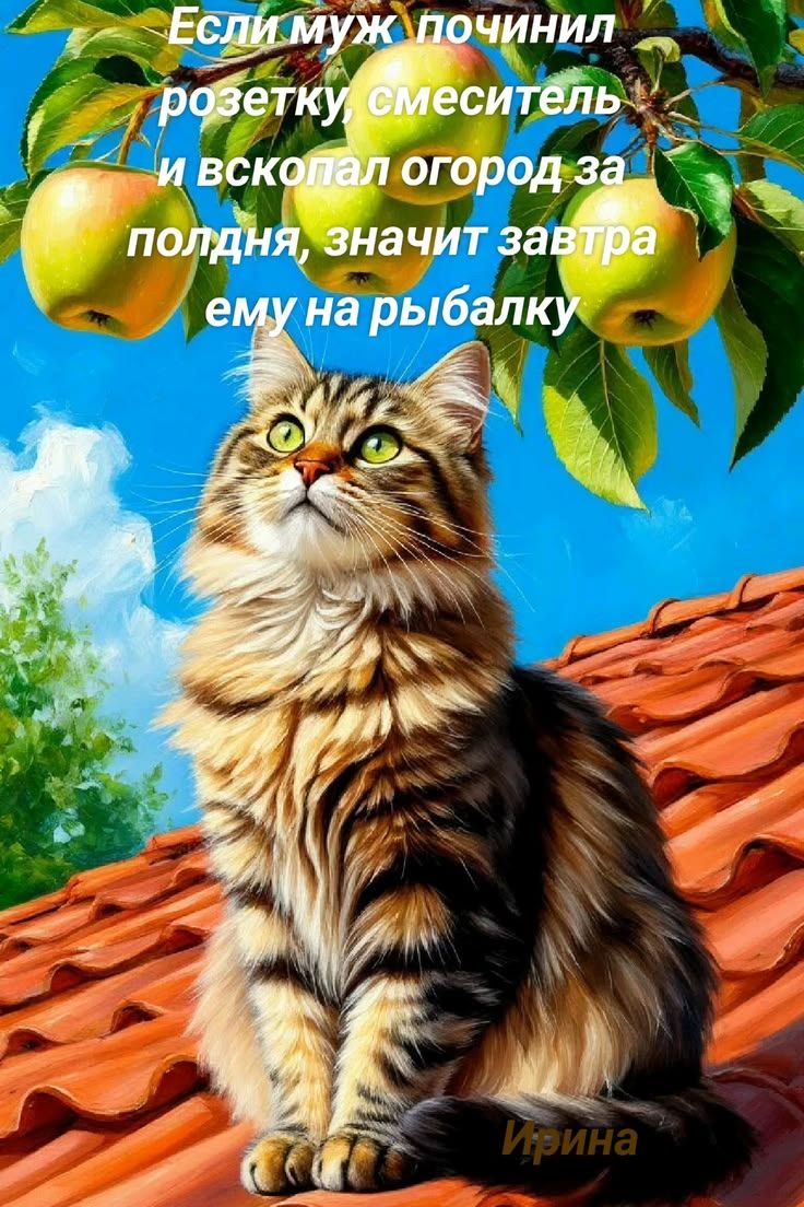 Если муж починил розетку, смеситель и вскопал огород за полдня, значит завтра ему на рыбалку. Ирина