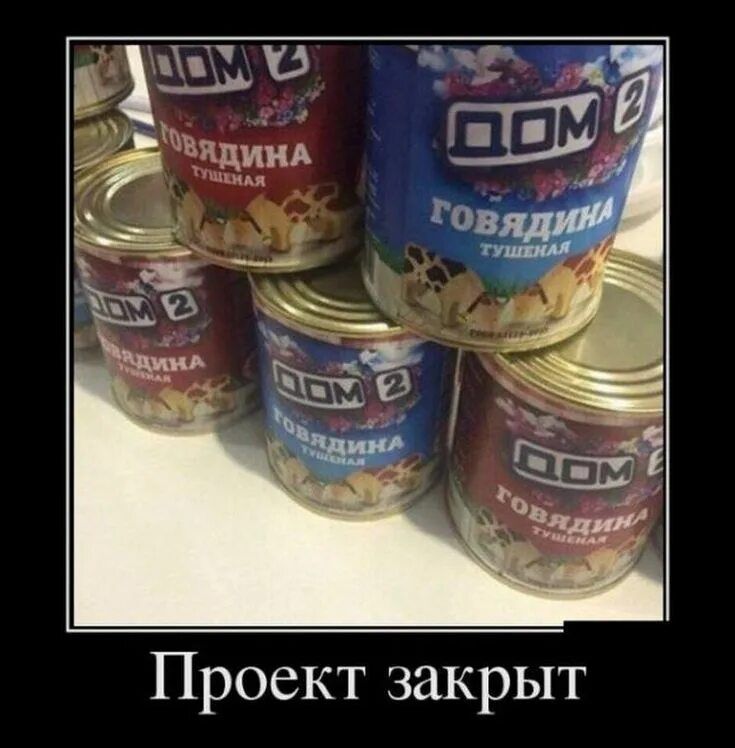 ДОМ 2 ГОВЯДИНА ТУШЕНАЯ Проект закрыт