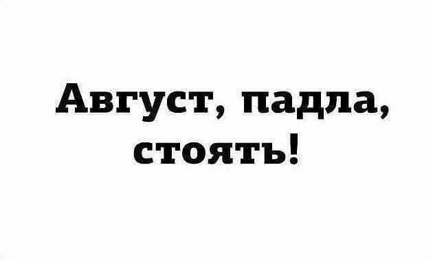 Август, падла, стоять!