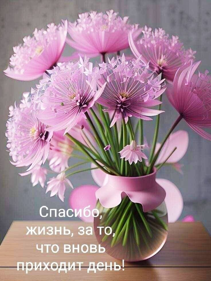 Спасибо, жизнь, за то, что вновь приходит день!