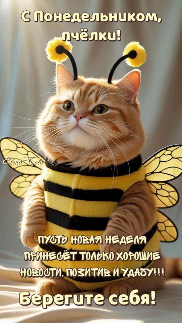 С Понедельником, пчёлки! Пусть новая неделя принесёт только хорошие новости, позитив и удачу!!! Берегите себя!