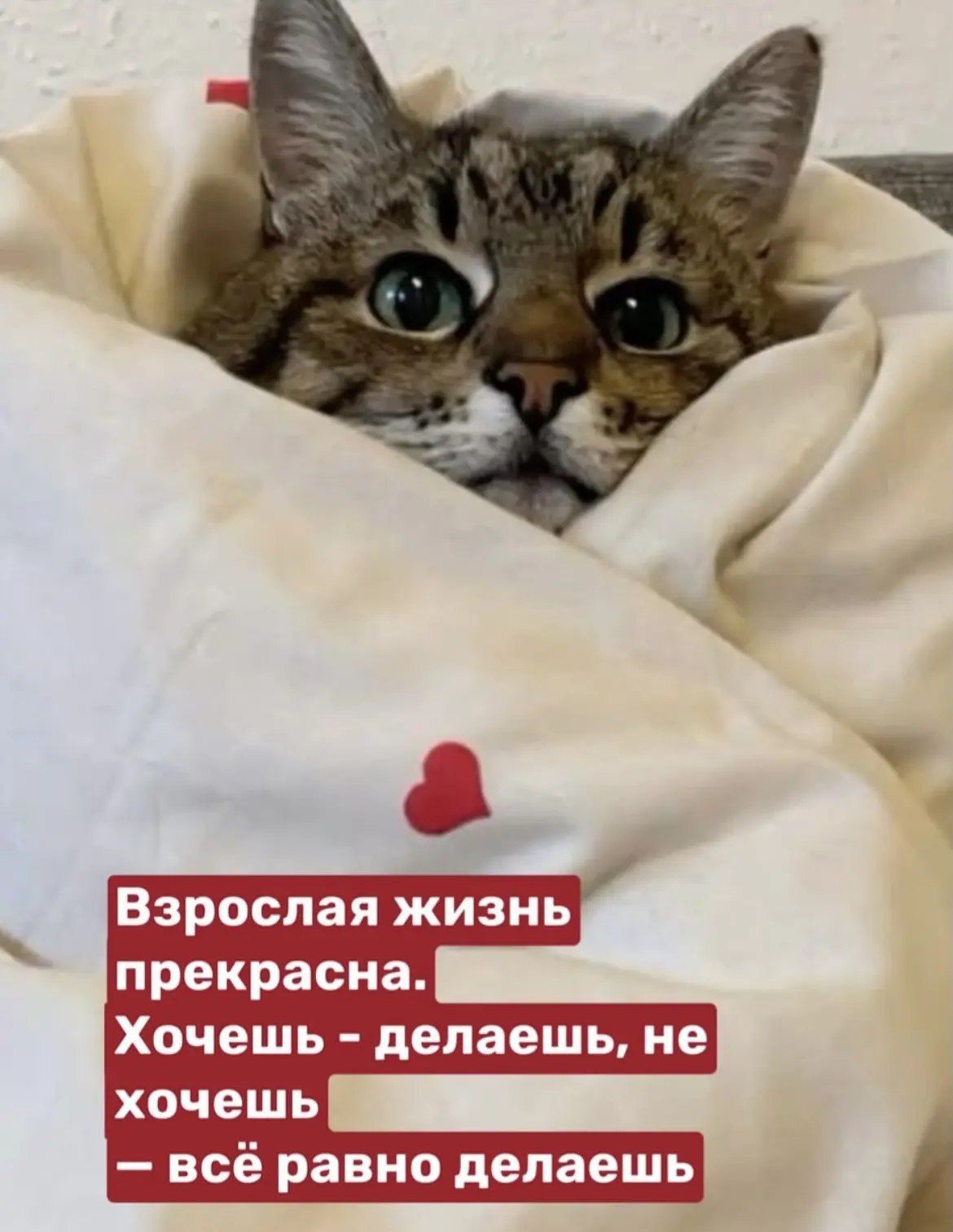 Взрослая жизнь прекрасна. Хочешь - делаешь, не хочешь - всё равно делаешь