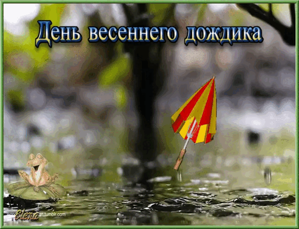 День весеннего дождика