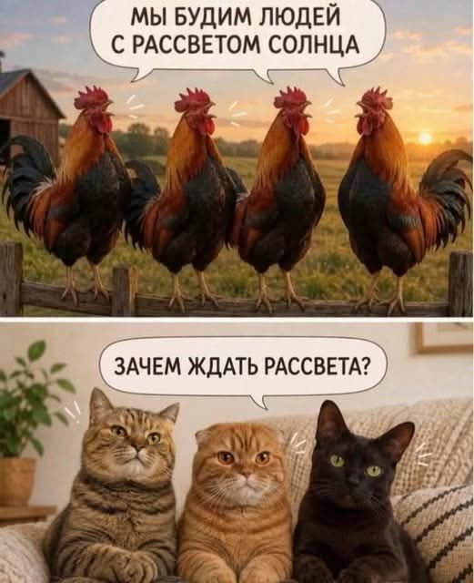 МЫ БУДИМ ЛЮДЕЙ С РАССВЕТОМ СОЛНЦА. ЗАЧЕМ ЖДАТЬ РАССВЕТА?