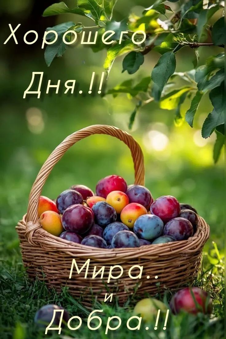 Хорошего Дня!! Мира.. и Добра.!!