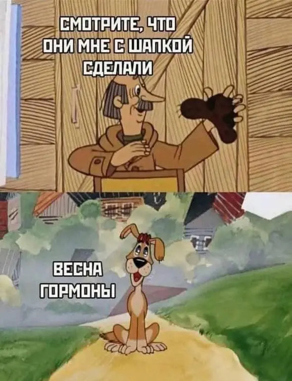 СМОТРИТЕ, ЧТО ОНИ МНЕ С ШАПКОЙ СДЕЛАЛИ ВЕСНА ГОРМОНЫ