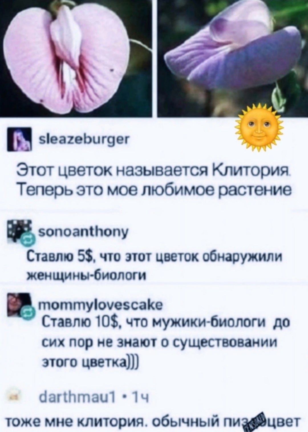 Этот цветок называется Клитория. Теперь это мое любимое растение. Ставлю 5$, что этот цветок обнаружили женщины-биологи. Ставлю 10$, что мужики-биологи до сих пор не знают о существовании этого цветка))). тоже мне клитория. обычный пиз*цвет