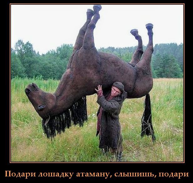 Подари лошадку атаману, слышишь, подари