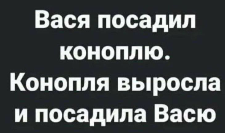 Вася посадил коноплю. Конопля выросла и посадила Васю