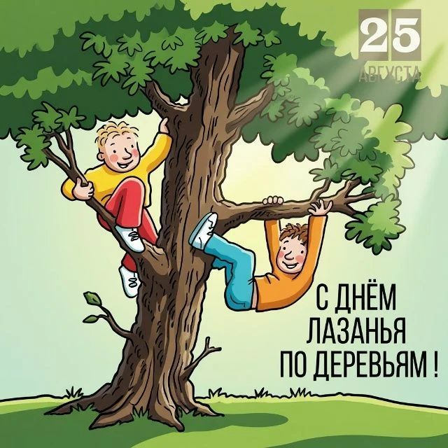 25 августа С Днём лазанья по деревьям!