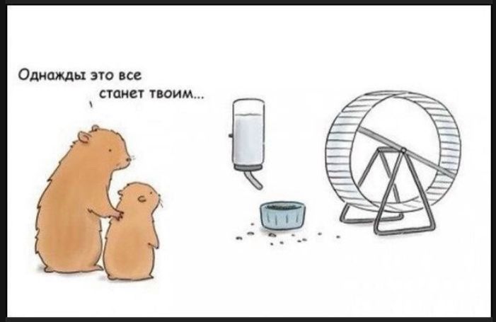 Однажды это все станет твоим...