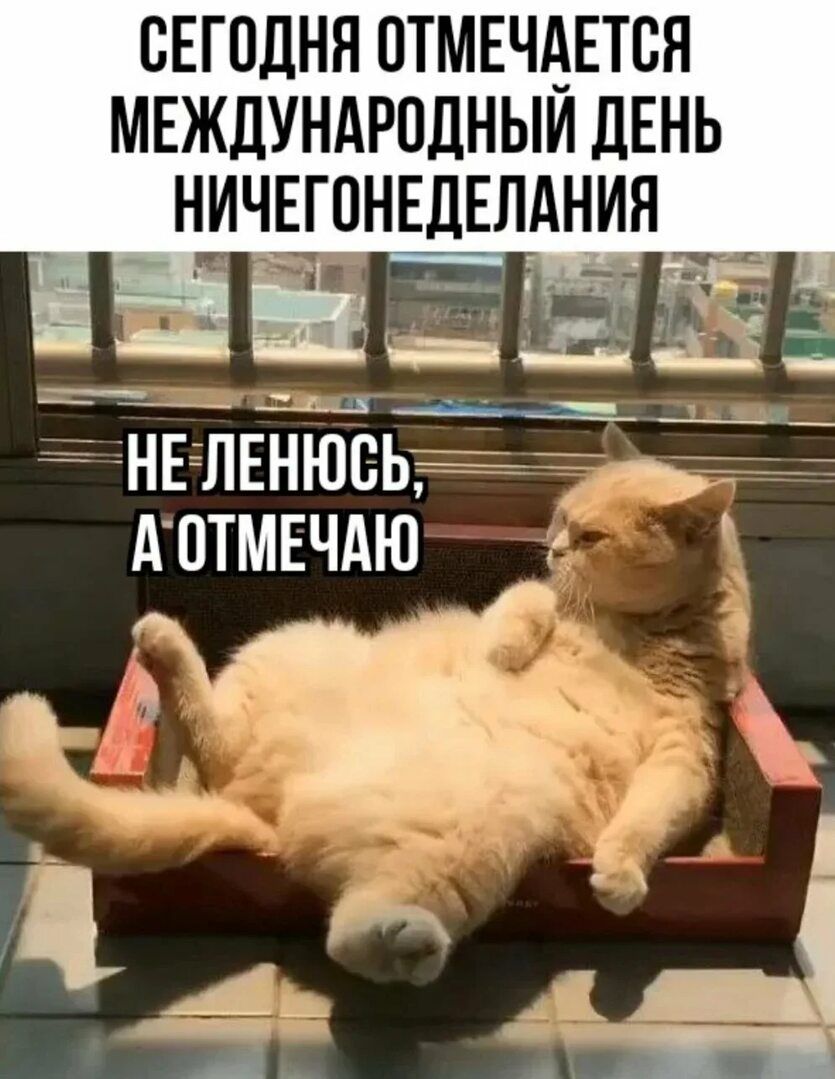 СЕГОДНЯ ОТМЕЧАЕТСЯ МЕЖДУНАРОДНЫЙ ДЕНЬ НИЧЕГОНЕДЕЛАНИЯ НЕ ЛЕНЮСЬ, А ОТМЕЧАЮ