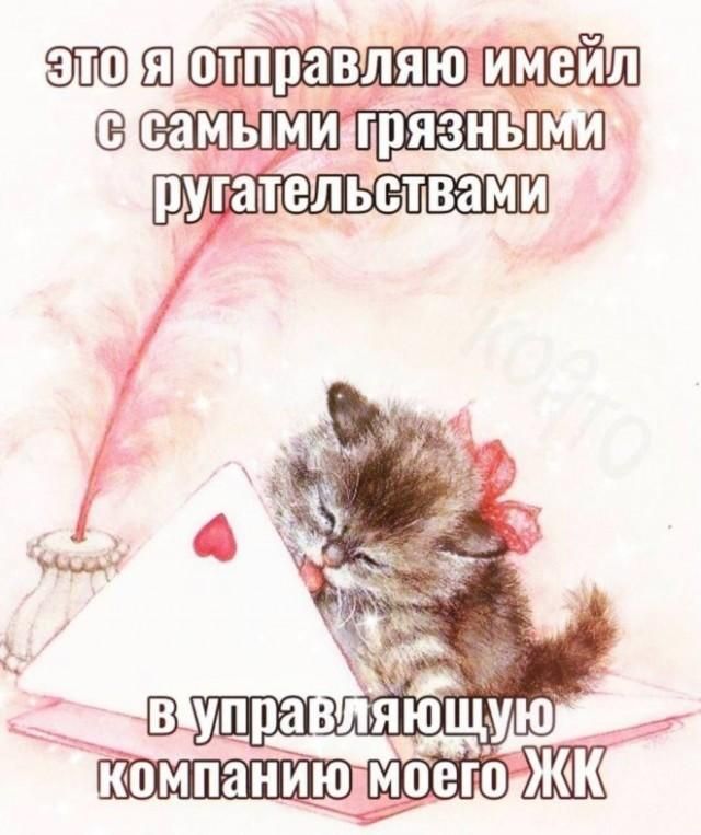 это я отправляю имейл с самыми грязными ругательствами в управляющую компанию моего ЖК