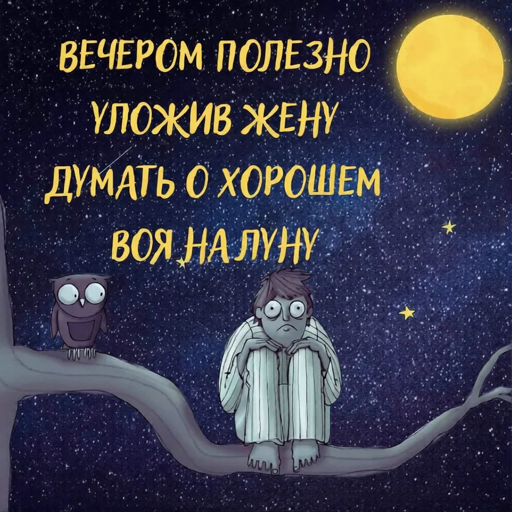 ВЕЧЕРОМ ПОЛЕЗНО УЛОЖИВ ЖЕНУ ДУМАТЬ О ХОРОШЕМ ВОЯ НА ЛУНУ