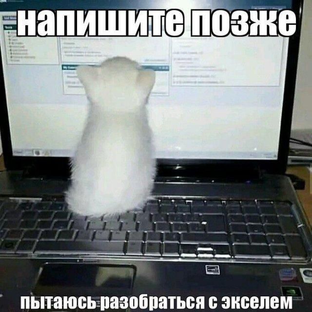 НАПИШИТЕ ПОЗЖЕ ПЫТАЮСЬ РАЗОБРАТЬСЯ С ЭКСЕЛЕМ