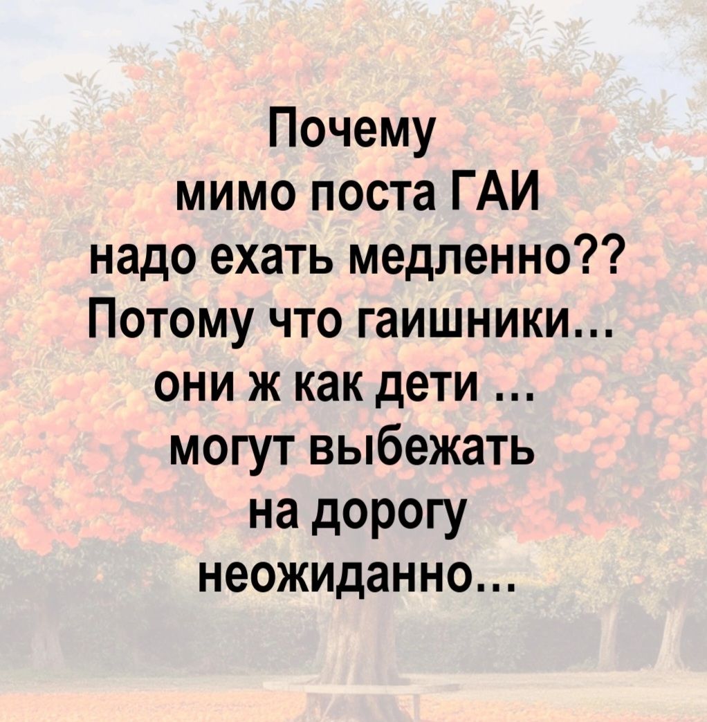 Почему мимо поста ГАИ надо ехать медленно?? Потому что гаишники... они ж как дети ... могут выбежать на дорогу неожиданно...