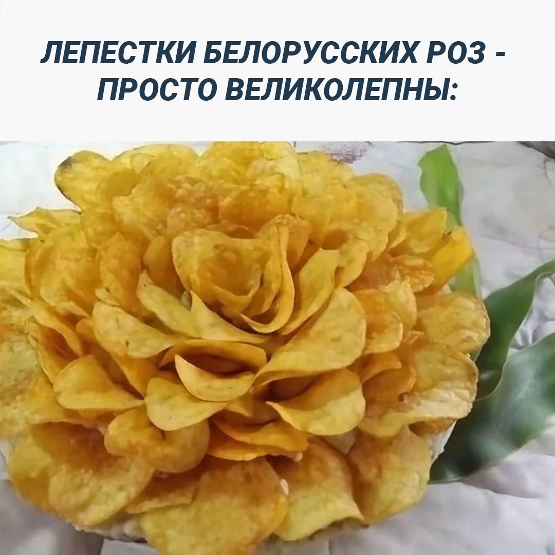 ЛЕПЕСТКИ БЕЛОРУССКИХ РОЗ - ПРОСТО ВЕЛИКОЛЕПНЫ: