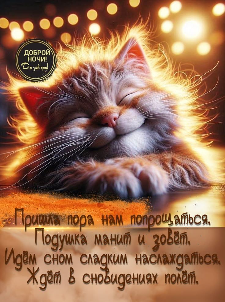 ДОБРОЙ НОЧИ! До завтра! Пришла пора нам попрощаться, Подушка манит и зовёт. Идём сном сладким наслаждаться, Ждёт в сновидениях полёт.