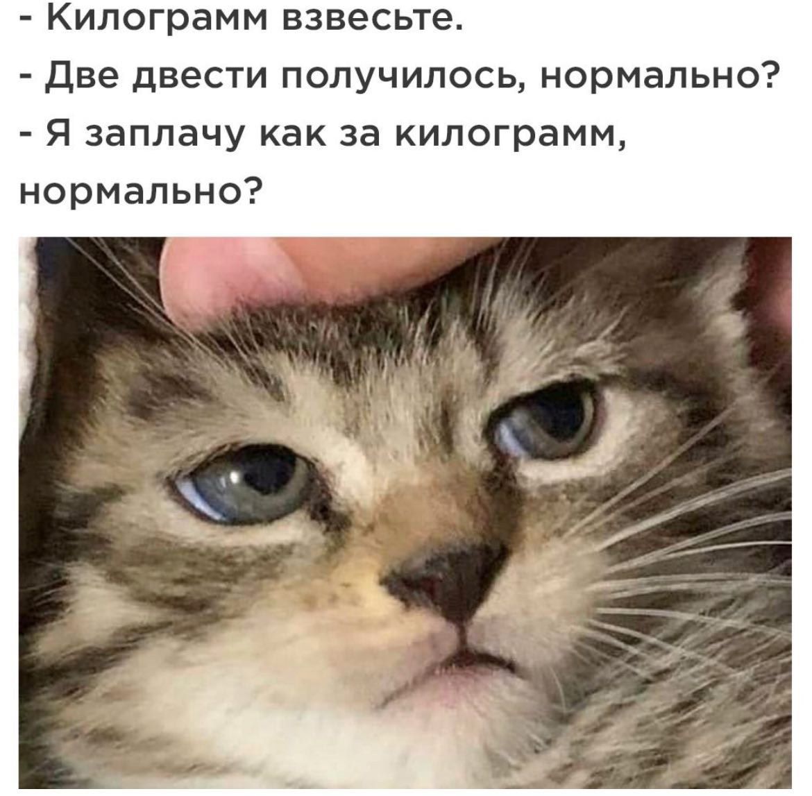 - Килограмм взвесьте.
- Две двести получилось, нормально?
- Я заплачу как за килограмм, нормально?