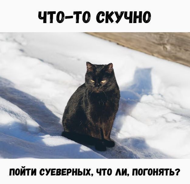 ЧТО-ТО СКУЧНО. ПОЙТИ СУЕВЕРНЫХ, ЧТО ЛИ, ПОГОНЯТЬ?
