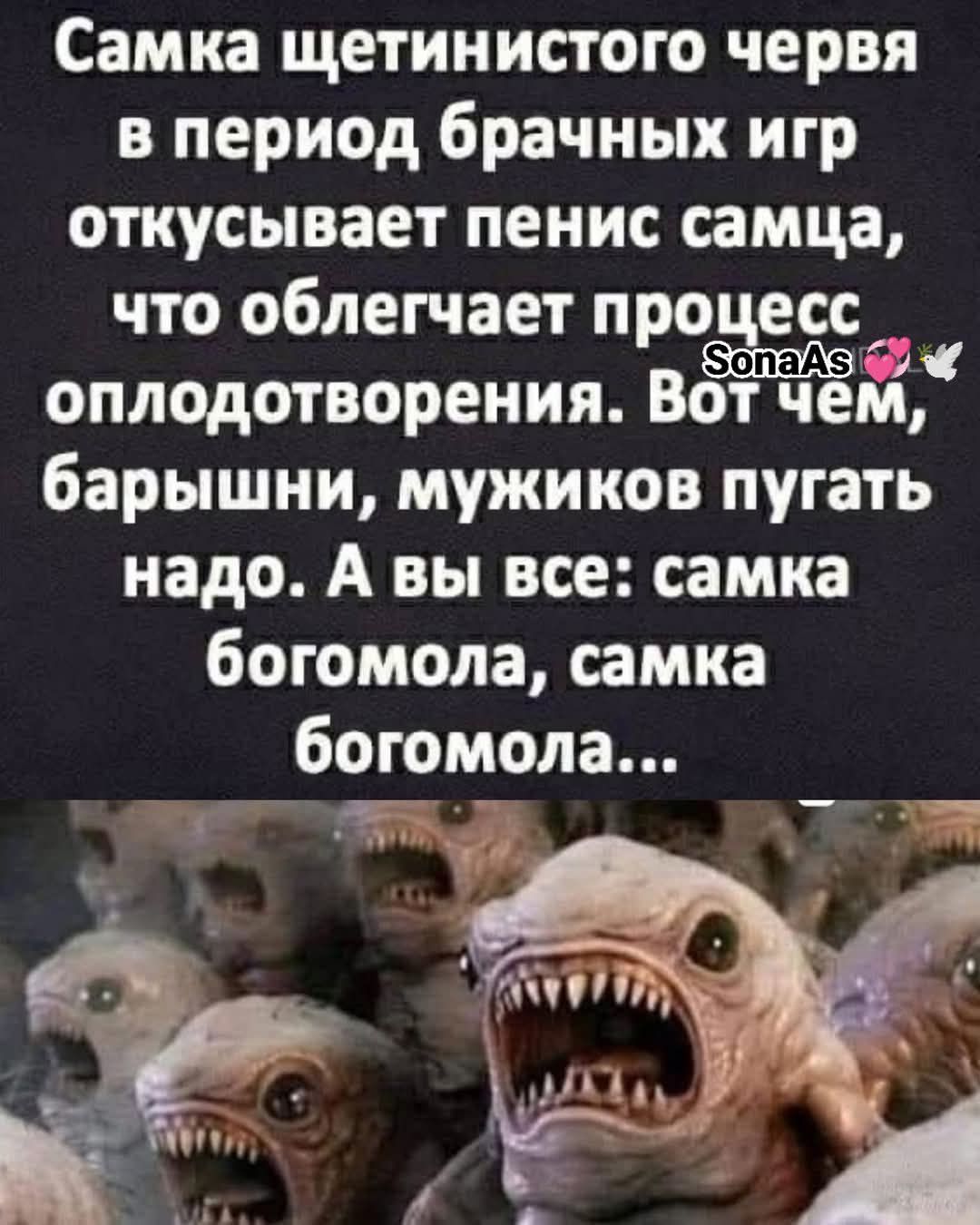 Самка щетинистого червя в период брачных игр откусывает пенис самца, что облегчает процесс оплодотворения. Вот чем, барышни, мужиков пугать надо. А вы все: самка богомола, самка богомола...