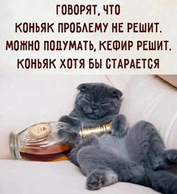 ГОВОРЯТ, ЧТО КОНЬЯК ПРОБЛЕМУ НЕ РЕШИТ. МОЖНО ПОДУМАТЬ, КЕФИР РЕШИТ. КОНЬЯК ХОТЯ БЫ СТАРАЕТСЯ