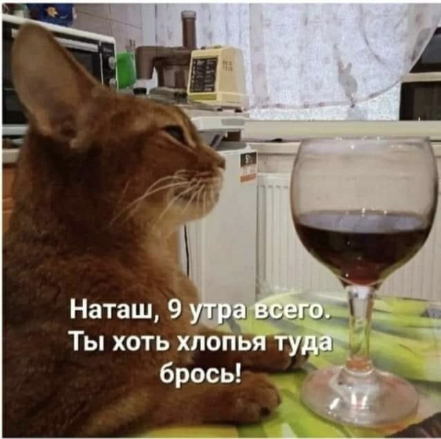 Наташ, 9 утра всего. Ты хоть хлопья туда брось!