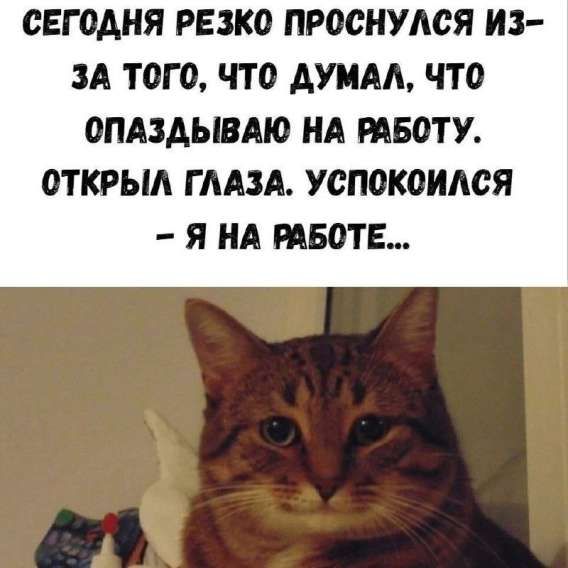 СЕГОДНЯ РЕЗКО ПРОСНУЛСЯ ИЗ-ЗА ТОГО, ЧТО ДУМАЛ, ЧТО ОПАЗДЫВАЮ НА РАБОТУ. ОТКРЫЛ ГЛАЗА. УСПОКОИЛСЯ – Я НА РАБОТЕ...
