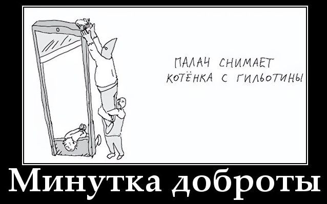 ПАЛАЧ СНИМАЕТ КОТЁНКА С ГИЛЬОТИНЫ Минутка доброты