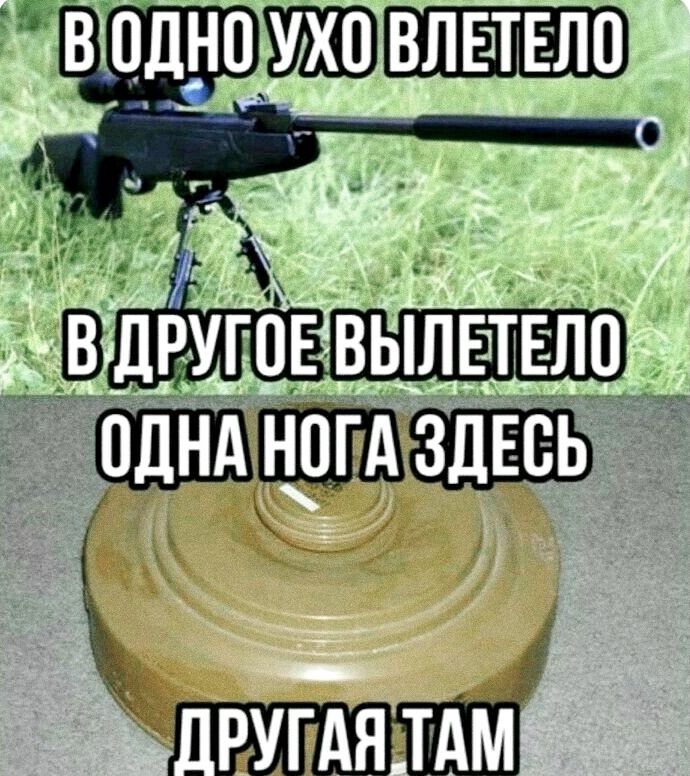 В ОДНО УХО ВЛЕТЕЛО В ДРУГОЕ ВЫЛЕТЕЛО ОДНА НОГА ЗДЕСЬ ДРУГАЯ ТАМ