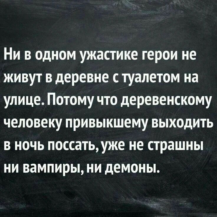 Ни в одном ужастике герои не живут в деревне с туалетом на улице. Потому что деревенскому человеку, привыкшему выходить в ночь поссать, уже не страшны ни вампиры, ни демоны.
