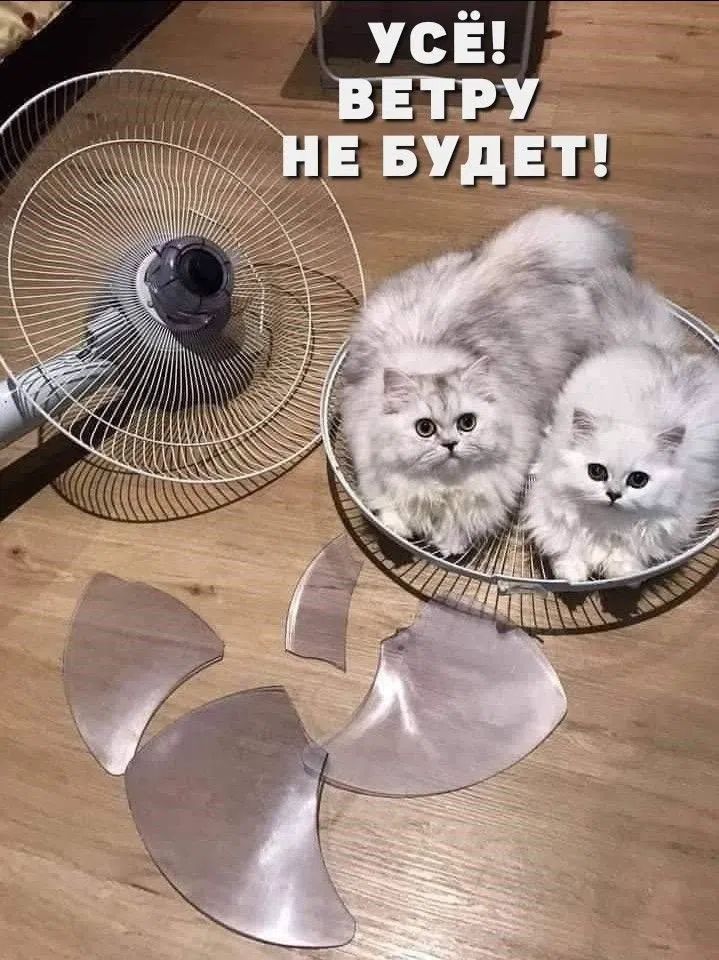УСЁ! ВЕТРУ НЕ БУДЕТ!