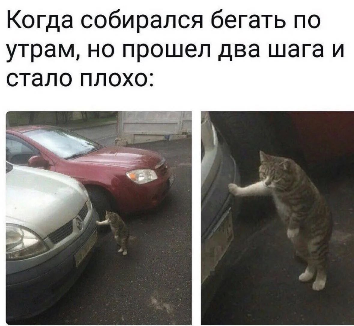 Когда собирался бегать по утрам, но прошел два шага и стало плохо: