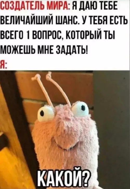 СОЗДАТЕЛЬ МИРА: Я ДАЮ ТЕБЕ ВЕЛИЧАЙШИЙ ШАНС. У ТЕБЯ ЕСТЬ ВСЕГО 1 ВОПРОС, КОТОРЫЙ ТЫ МОЖЕШЬ МНЕ ЗАДАТЬ! Я: КАКОЙ?