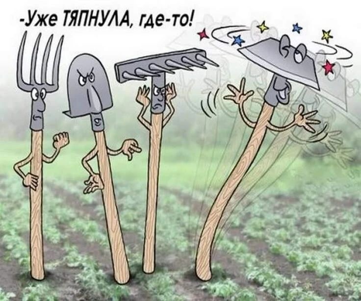 Уже тяпнула, где-то!