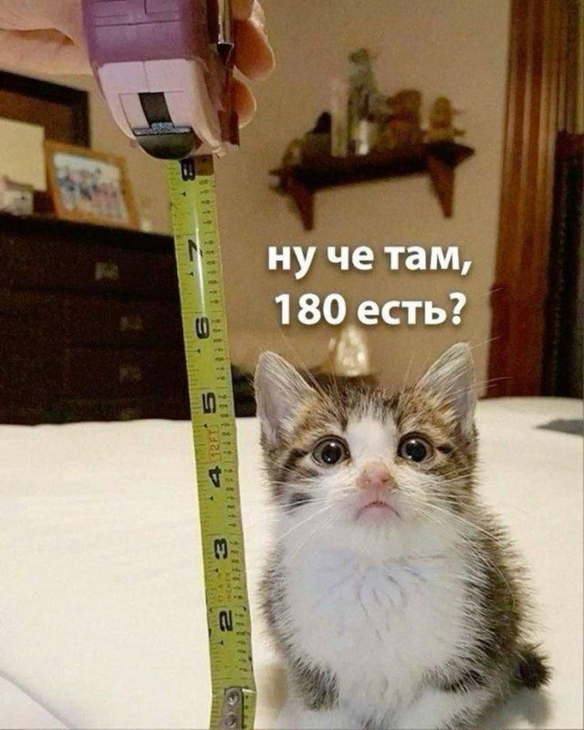ну че там, 180 есть?