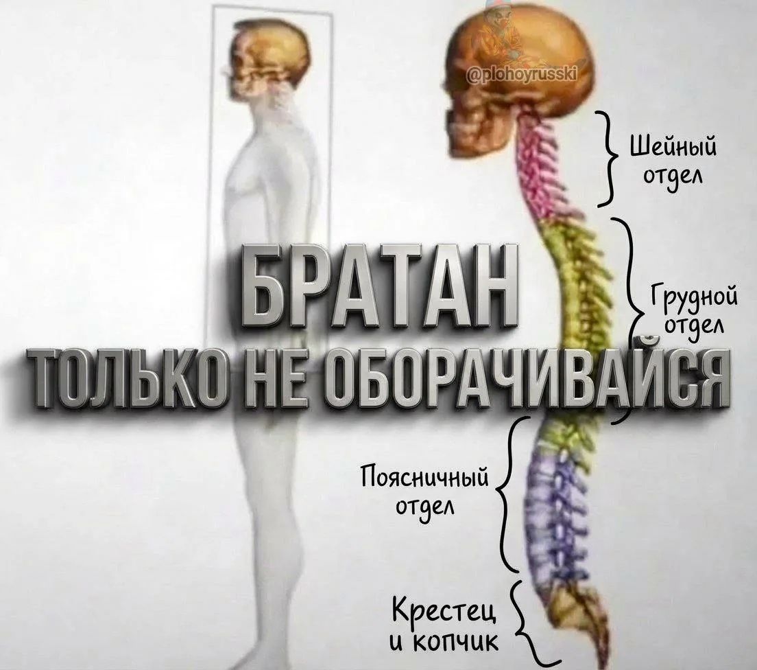 БРАТАН ТОЛЬКО НЕ ОБОРАЧИВАЙСЯ Шейный отдел Грудной отдел Поясничный отдел Крестец и копчик @plohoyrusski