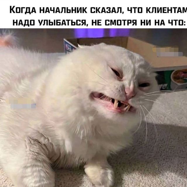 КОГДА НАЧАЛЬНИК СКАЗАЛ, ЧТО КЛИЕНТАМ НАДО УЛЫБАТЬСЯ, НЕ СМОТРЯ НИ НА ЧТО: