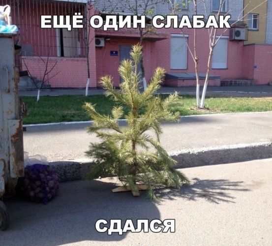 ЕЩЁ ОДИН СЛАБАК СДАЛСЯ