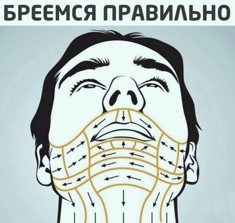 БРЕЕМСЯ ПРАВИЛЬНО