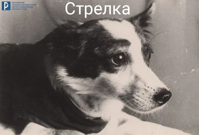 Российский государственный архив научно-технической документации Стрелка
