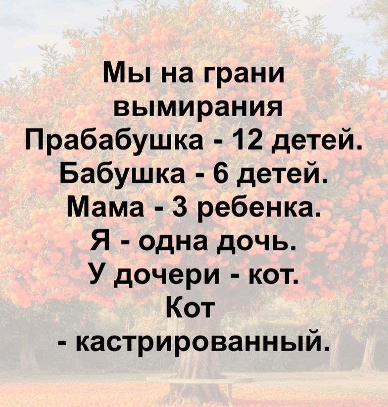 Мы на грани вымирания
Прабабушка - 12 детей.
Бабушка - 6 детей.
Мама - 3 ребенка.
Я - одна дочь.
У дочери - кот.
Кот - кастрированный.