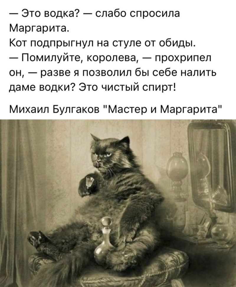 — Это водка? — слабо спросила Маргарита. Кот подпрыгнул на стуле от обиды. — Помилуйте, королева, — прохрипел он, — разве я позволил бы себе налить даме водки? Это чистый спирт! Михаил Булгаков 